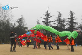 山美特 專業體驗式拓展訓練，賦能團隊凝聚力與協作力